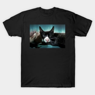 Devilishly Handsome T-Shirt